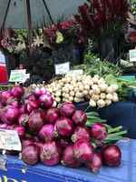 Red_candy_onions_at_market