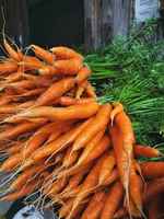 Carrots